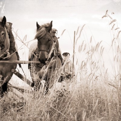 1920 x 1080 HD Wallpapers 3463